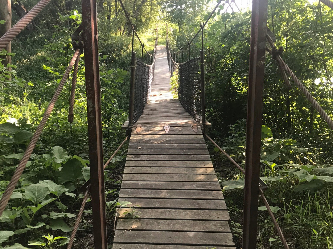 Senkiw Suspension Bridge