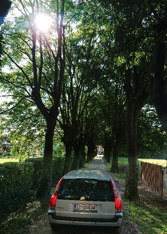 Azienda Agricola Zoff-科尔蒙斯必去景点