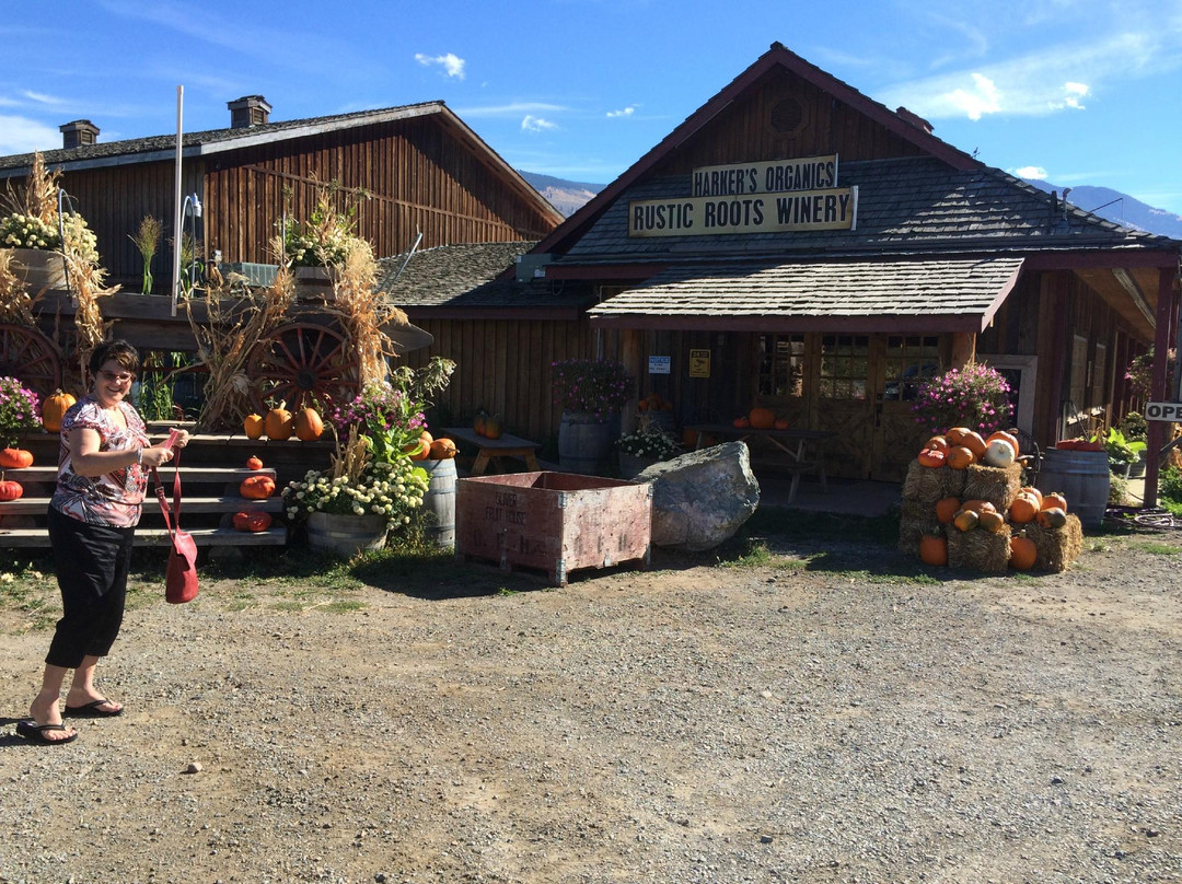 Rustic Roots Winery景点图片