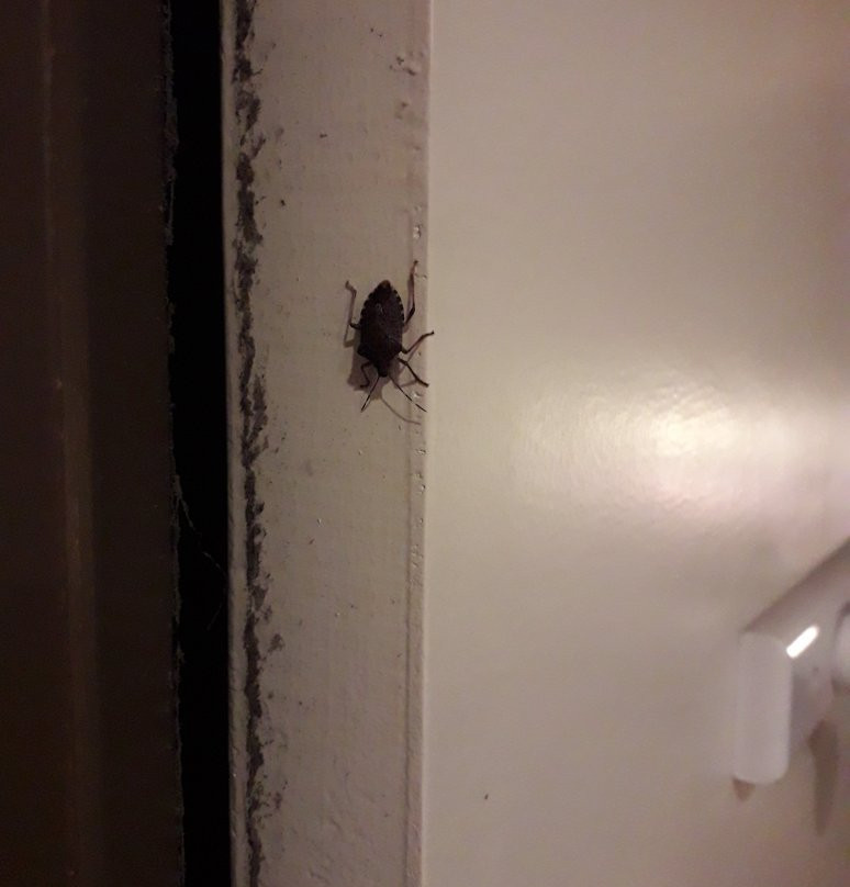 Hotel De La Beauronne主图