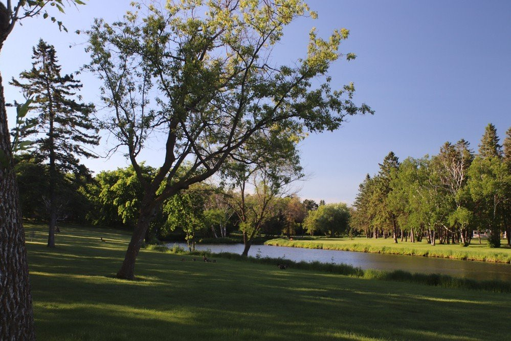 Sunnybrook Park & Shelters