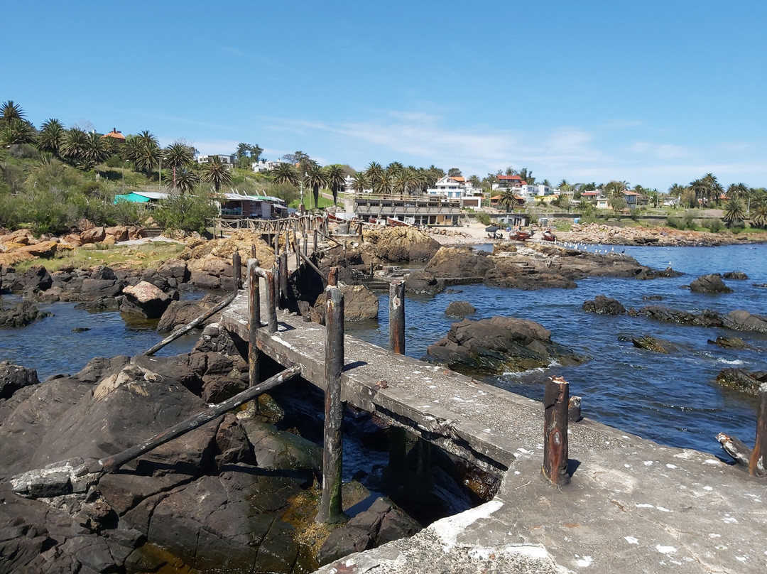 Muelle Pesquero Stella Maris-Piriapolis必去景点