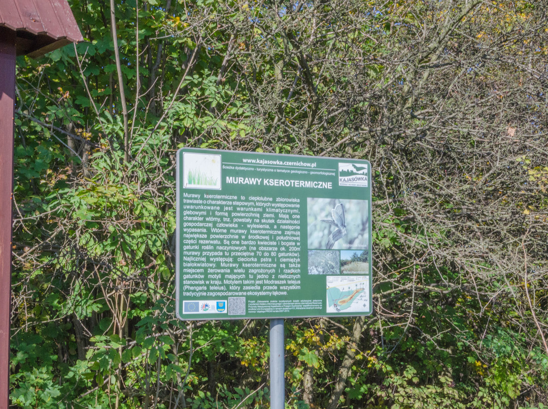 Szlak dydaktyczny Kajasowka