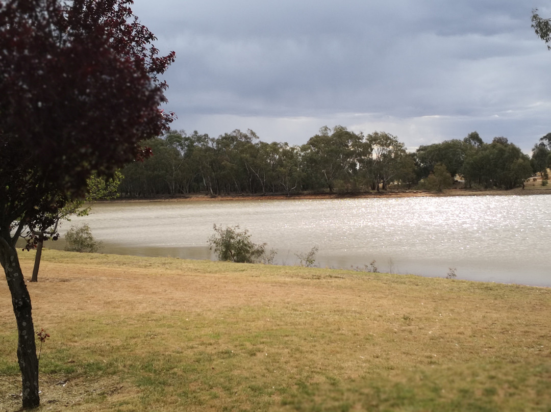 Lake Centenary-Temora必去景点