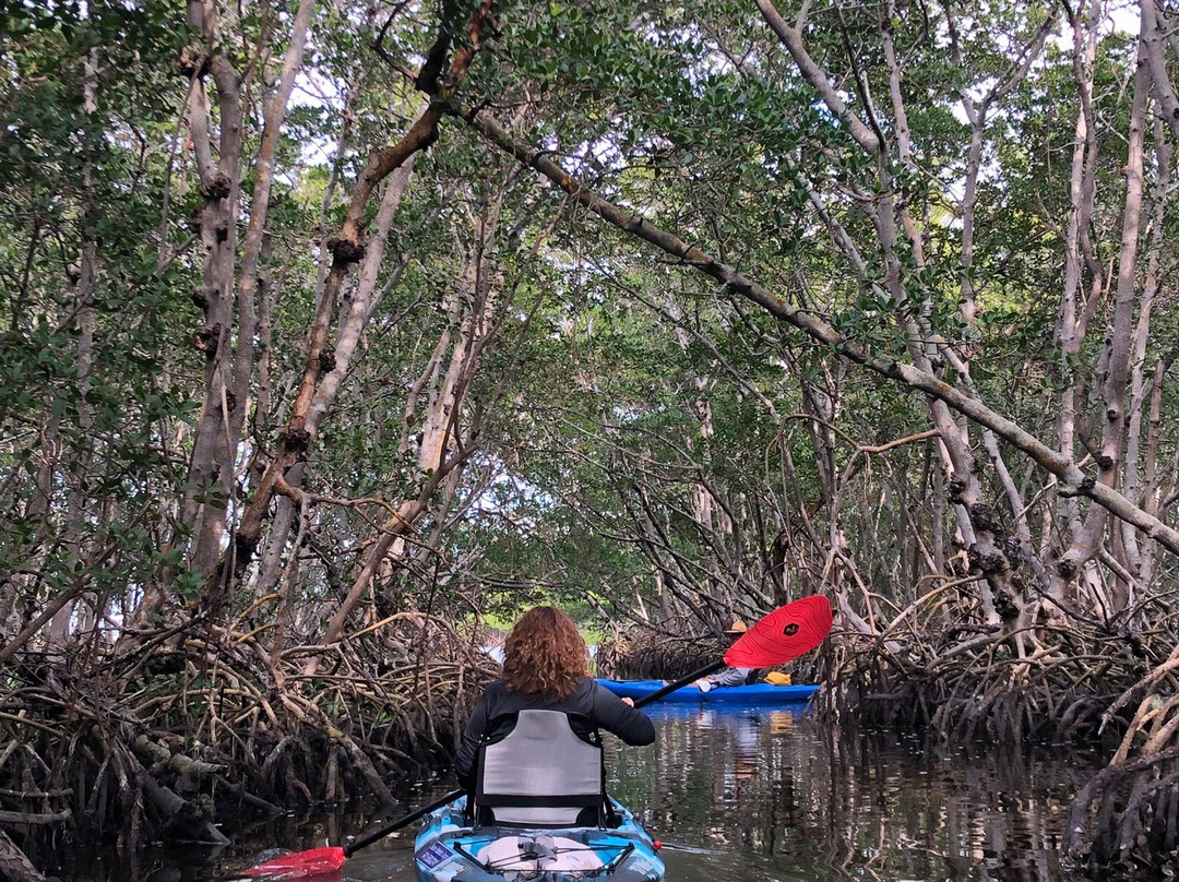 Sarasota Paddleboard Company-萨拉索塔必去景点