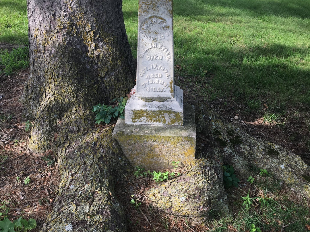 Laurel Hill Cemetery景点图片