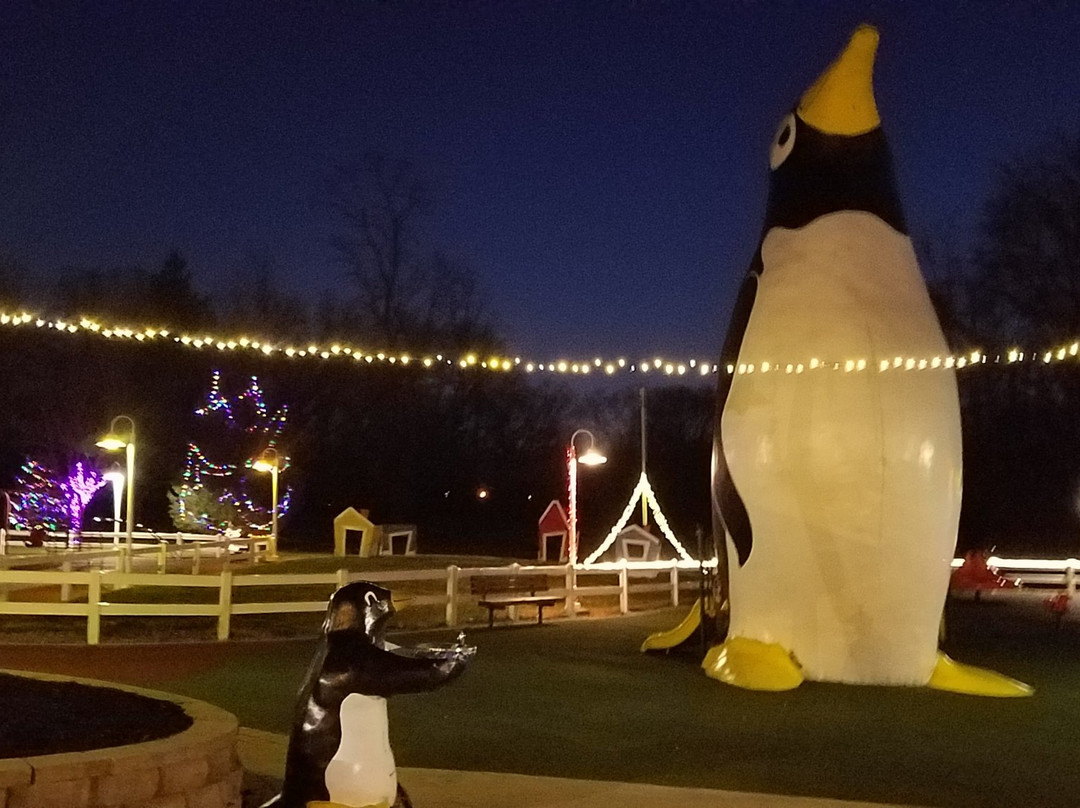 Penguin Park景点图片