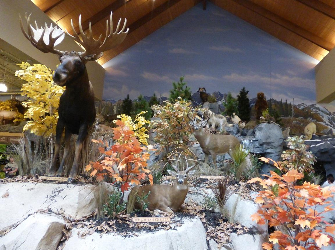 Stanton旅游景点-Cabela's