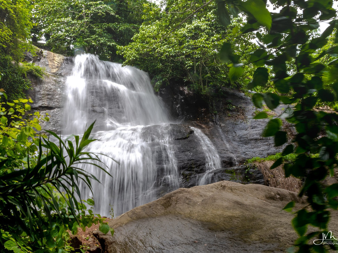 Areeckal Waterfalls景点图片