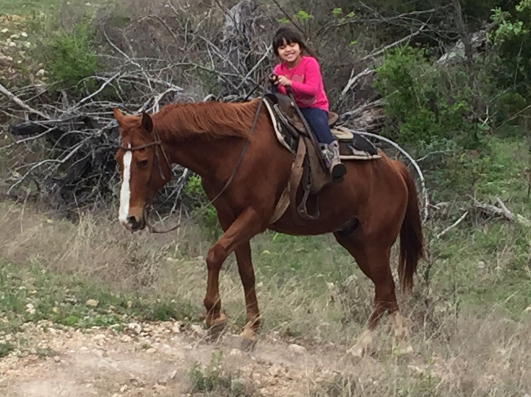Elm Creek Stables-Leakey必去景点