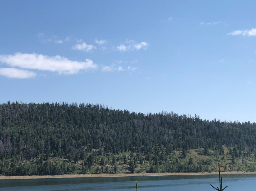Navajo Lake