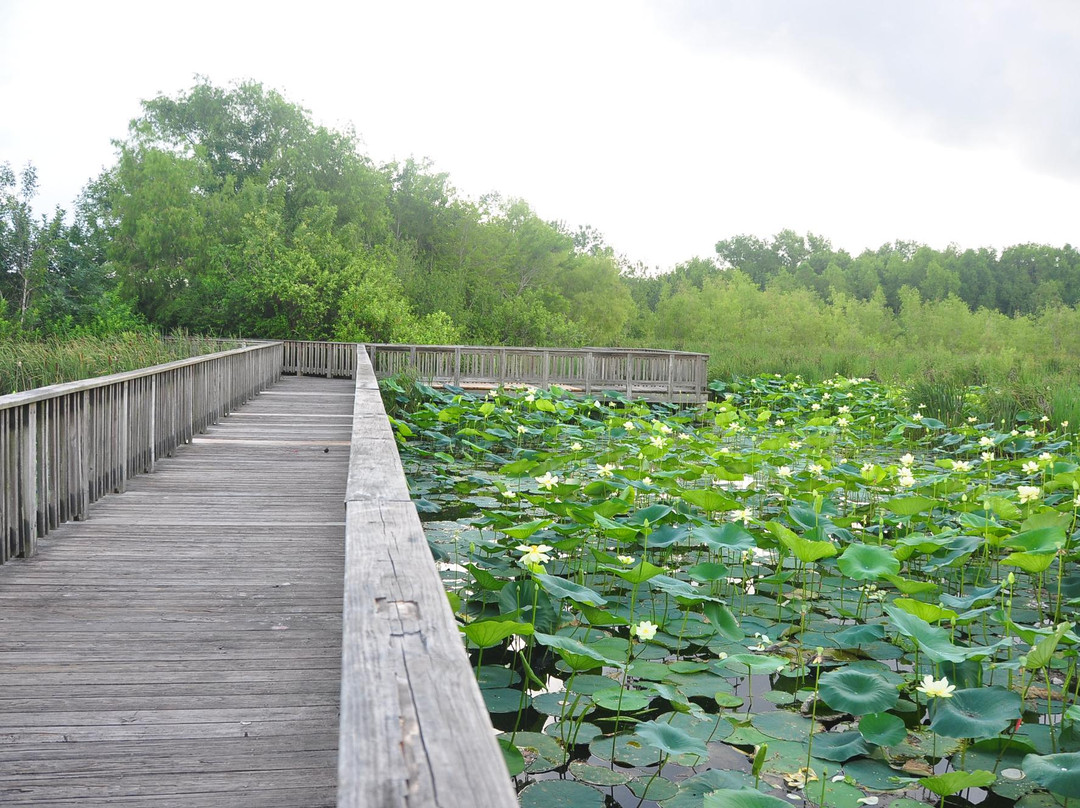 舒格兰旅游景点-Cullinan Park
