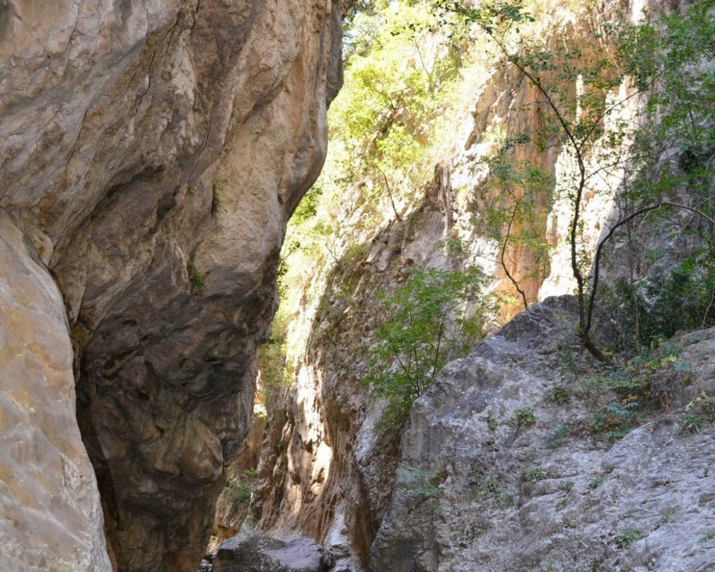 Streta DI Longi Longi景点图片
