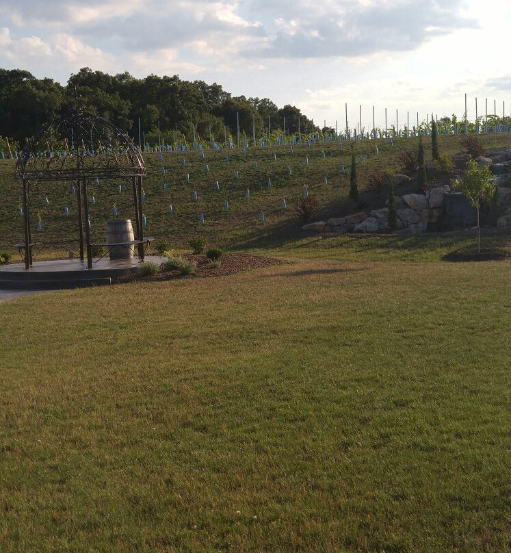 Folino Estate Vineyard & Winery景点图片