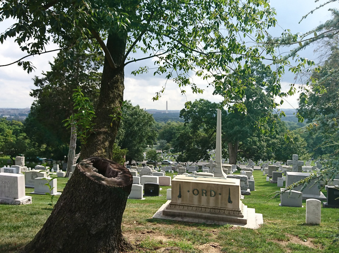 Arlington Cemetery景点图片