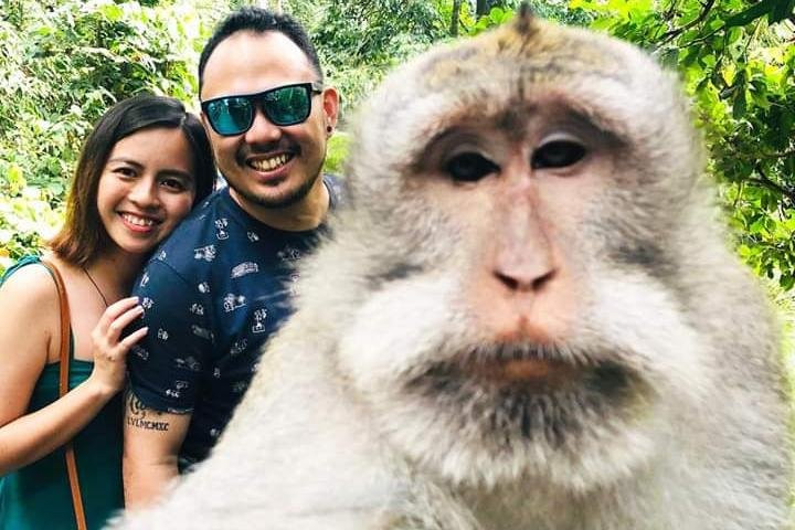 Bali Instagramable Tour-乌布必去景点