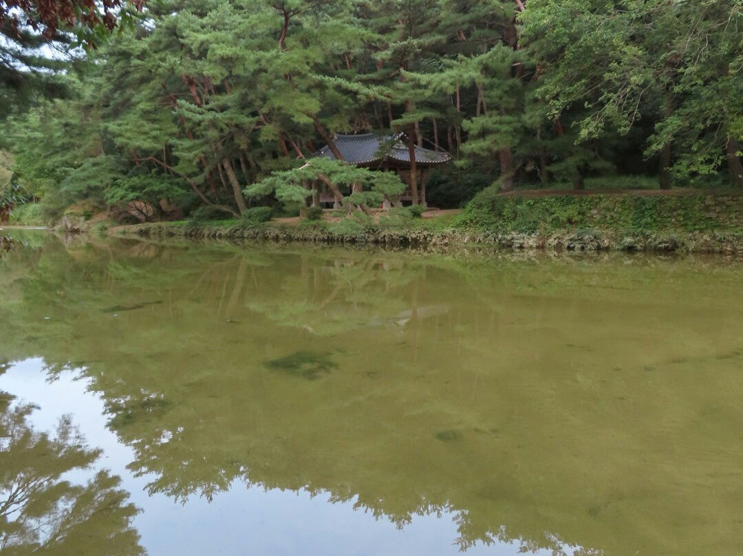 Seonbichon Village-荣州市必去景点