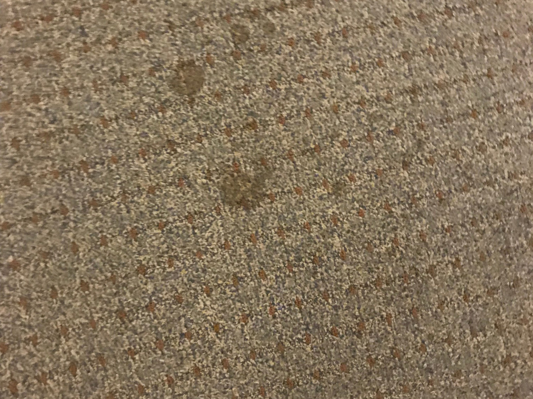 Staybridge Suites West Des Moines By IHG主图