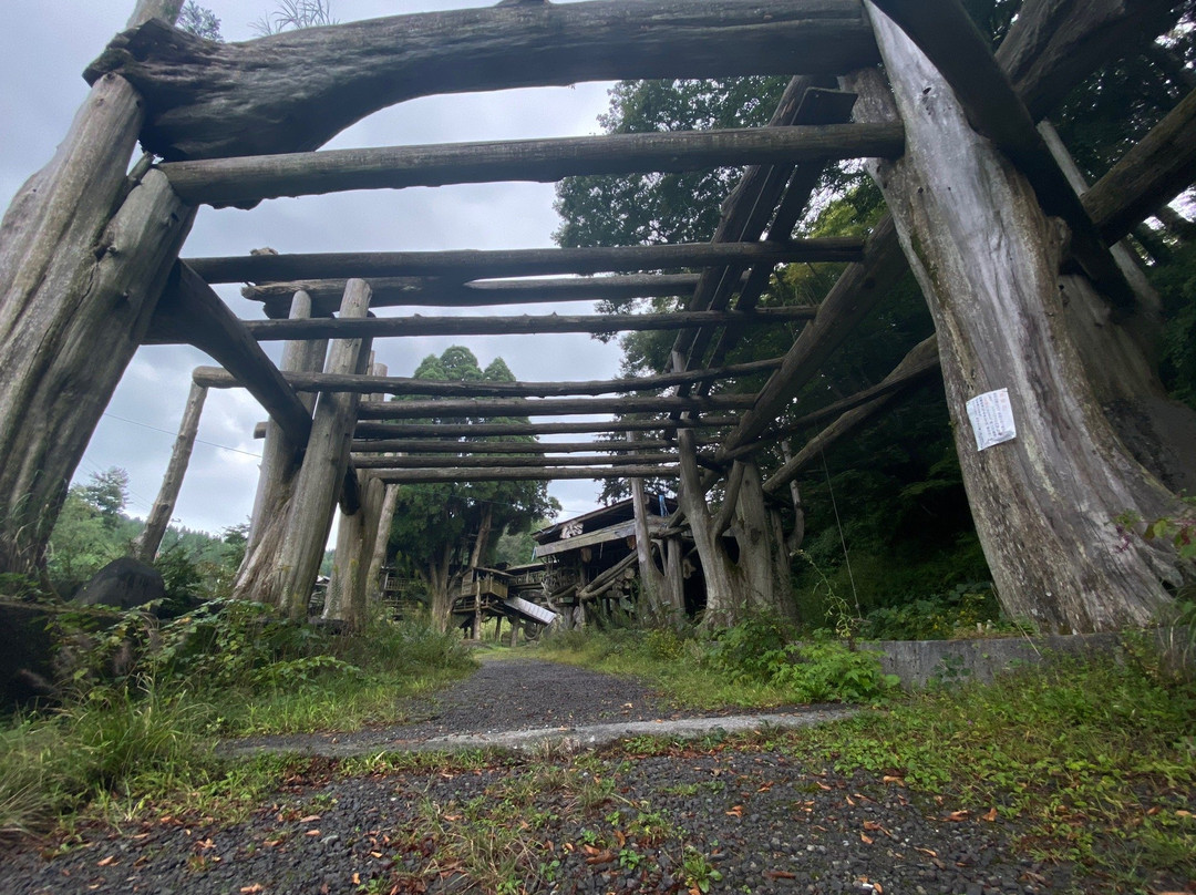 Takamori Tree House景点图片