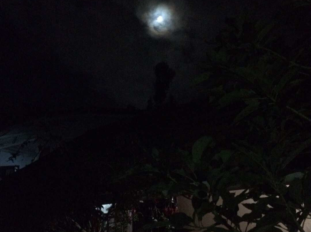 Ayurveda Yoga Retreat主图