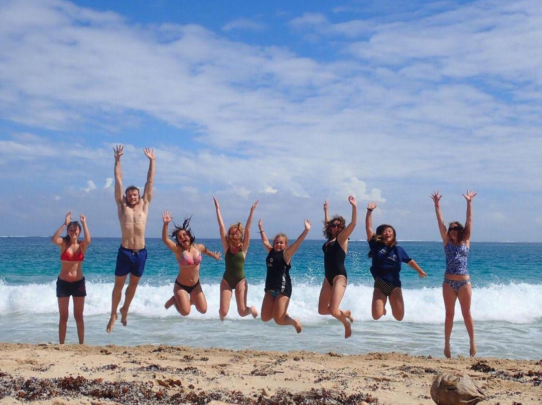 Komaia Tours & Transfers-纳迪市必去景点