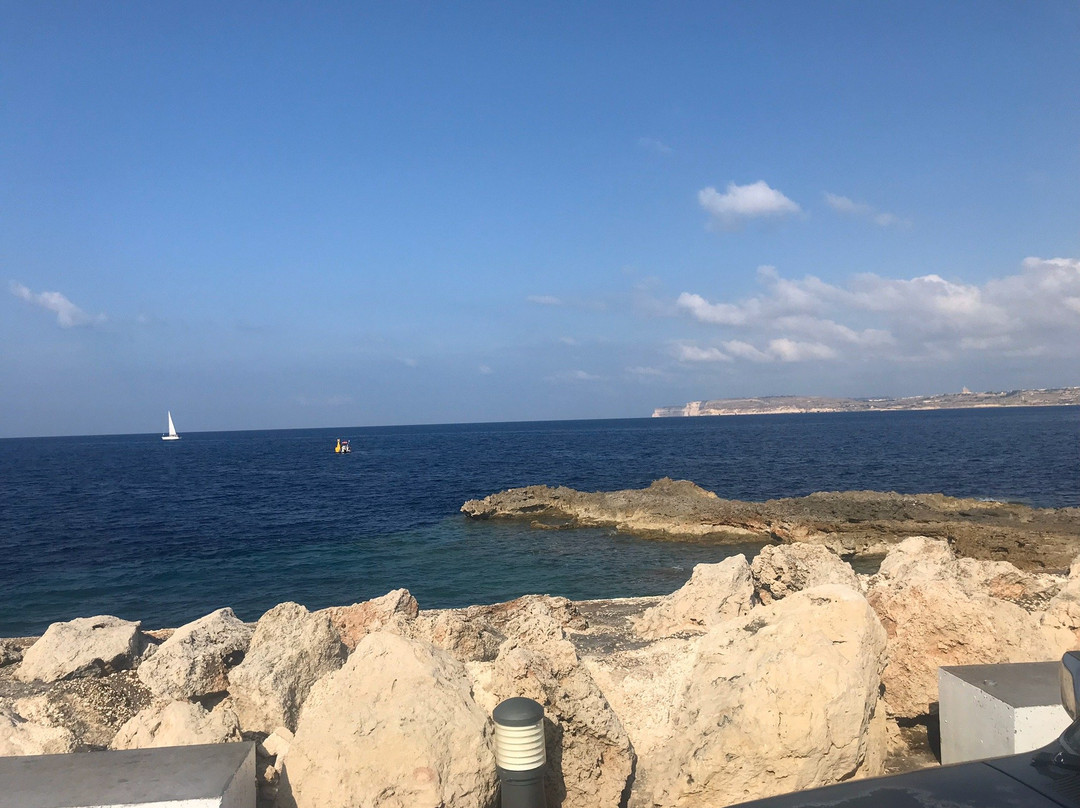 Divewise Malta景点图片