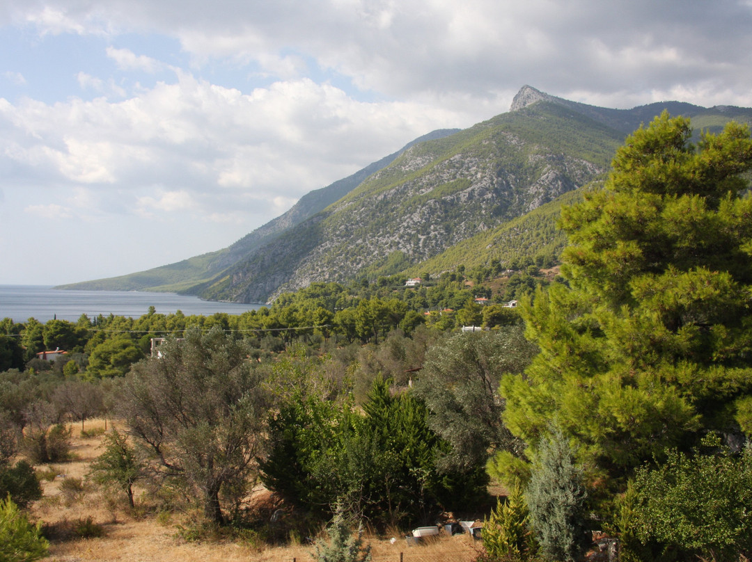 Pantheon Hotel & Suites主图