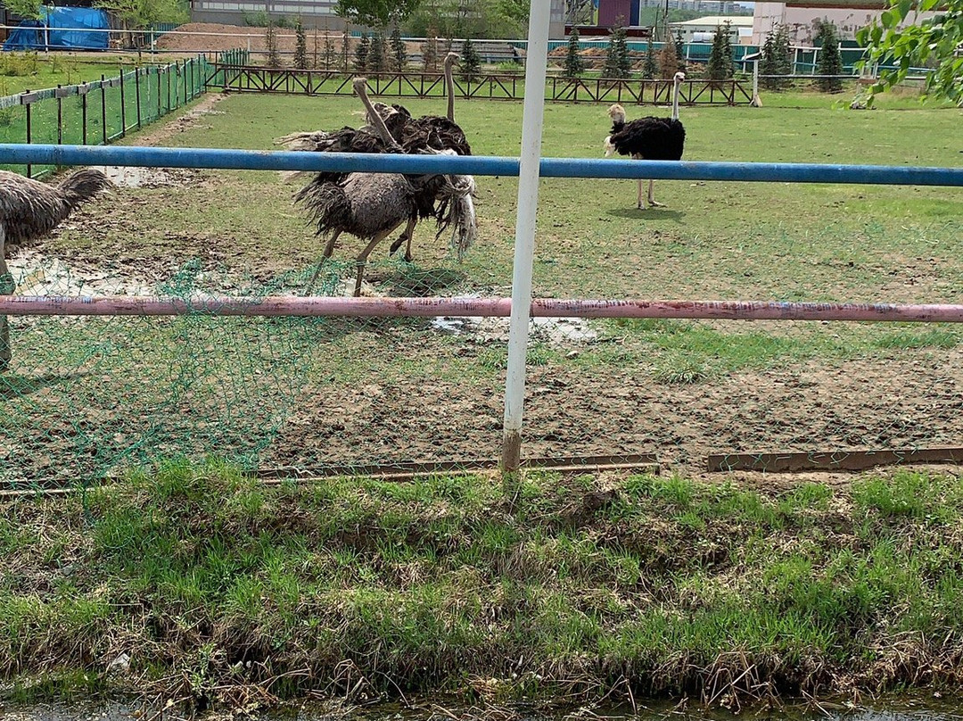 Aragon-哈巴罗夫斯克必去景点