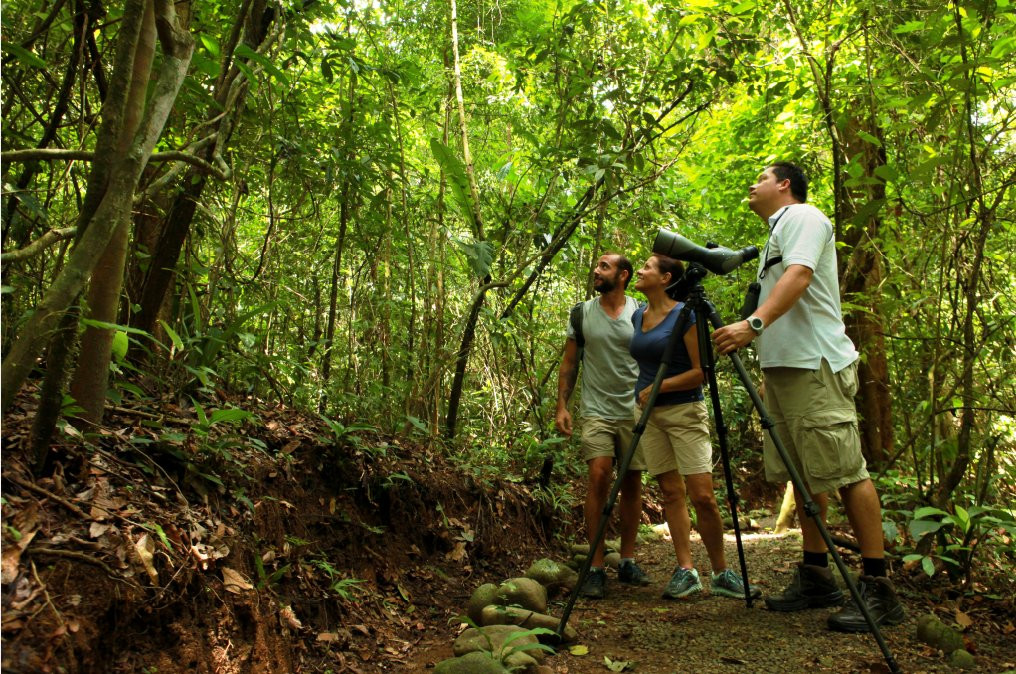 Greentique Costa Rica Tours景点图片