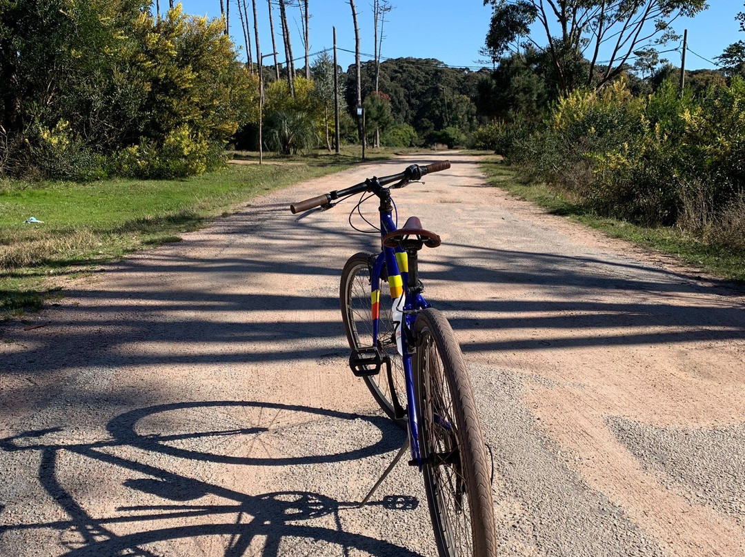 BiciUruguay-Punta del Diablo必去景点