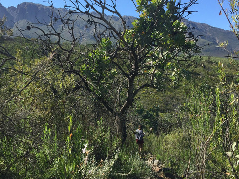 Murludi Farm-塔尔巴赫必去景点