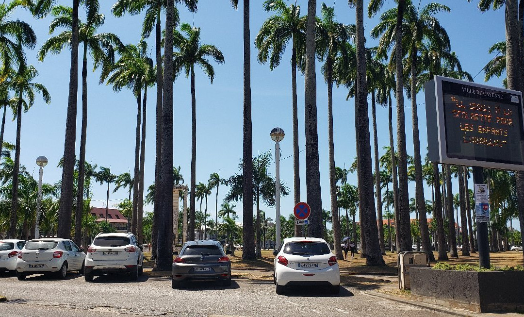 Place des Palmistes-卡宴必去景点