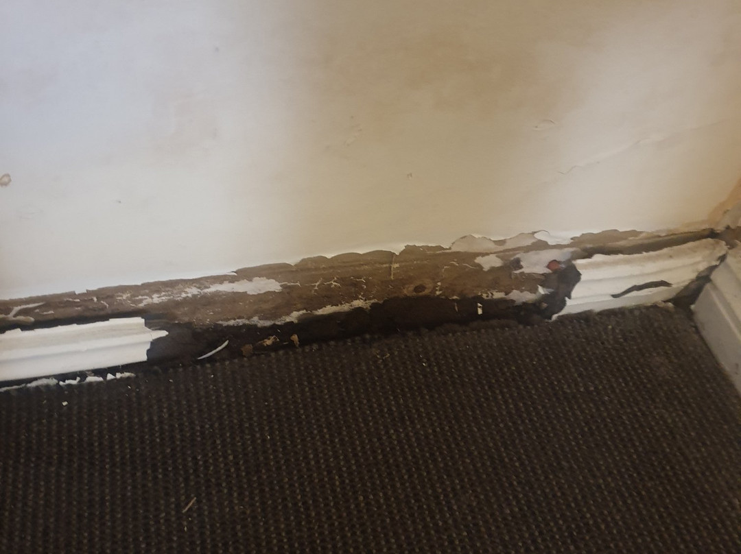 Littomore Suites Bathurst主图