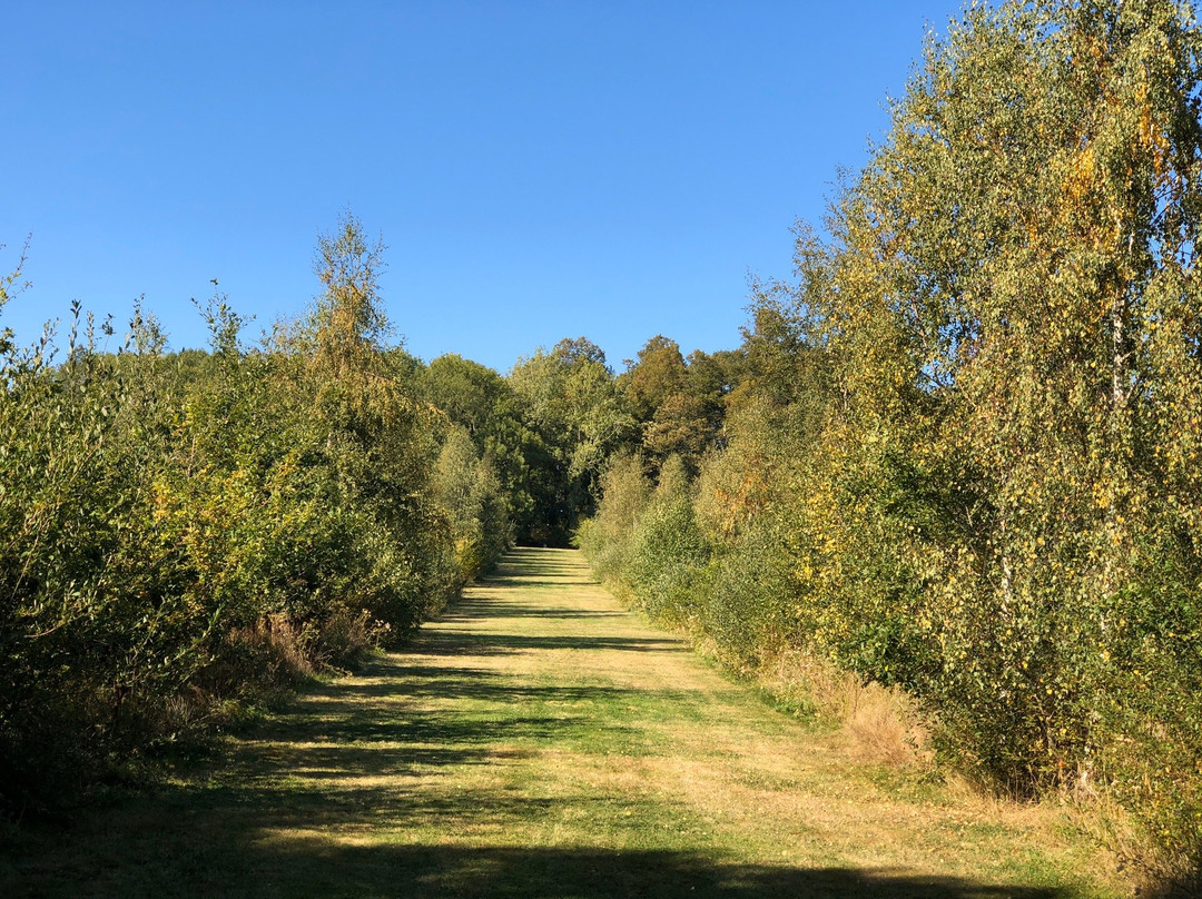 The University of Oxford Harcourt Arboretum景点图片