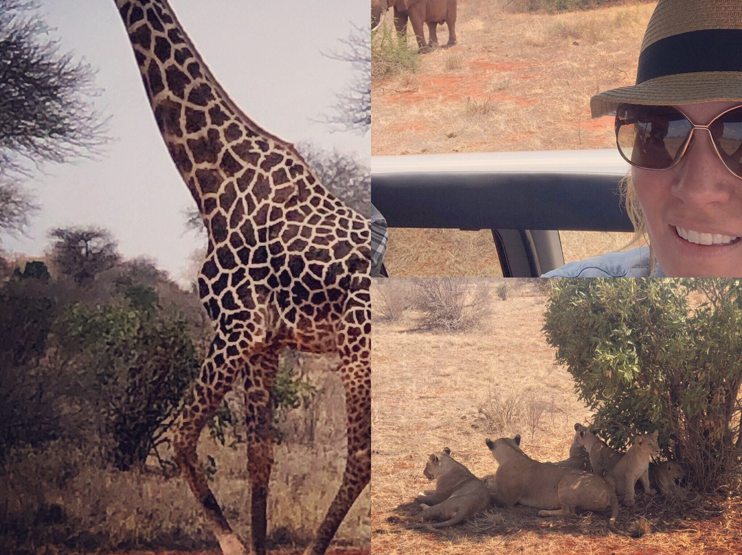 Big 7 Kitheka Safaris Day Tours景点图片