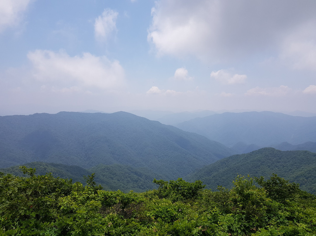 Bangtaesan Recreational Forest-麟蹄郡必去景点