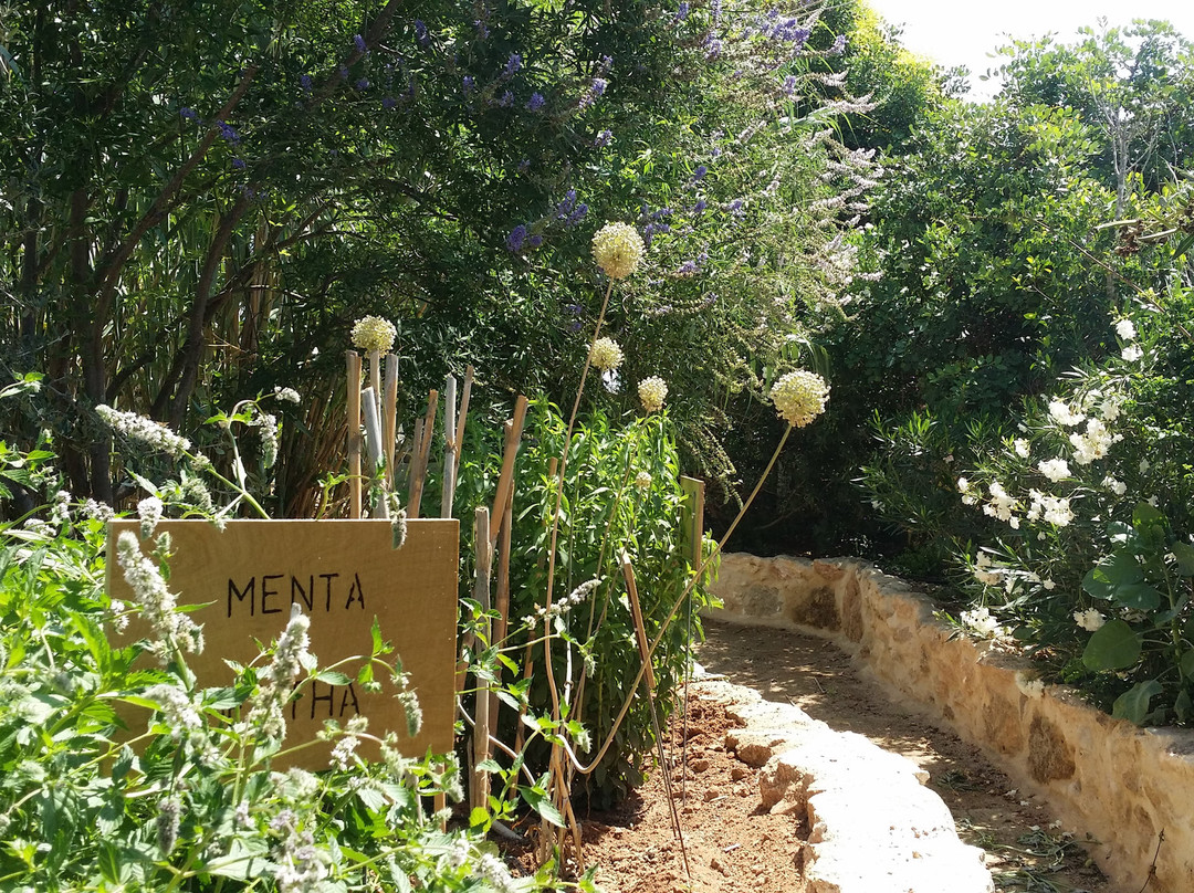 Medflora Museum Cyprus-Trachoni必去景点