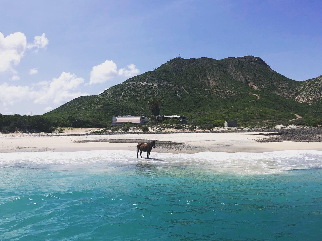 Cabo Pulmo Divers景点图片
