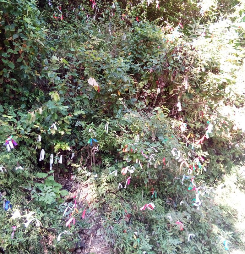 Maiden's Tears, Waterfall-Gagra必去景点