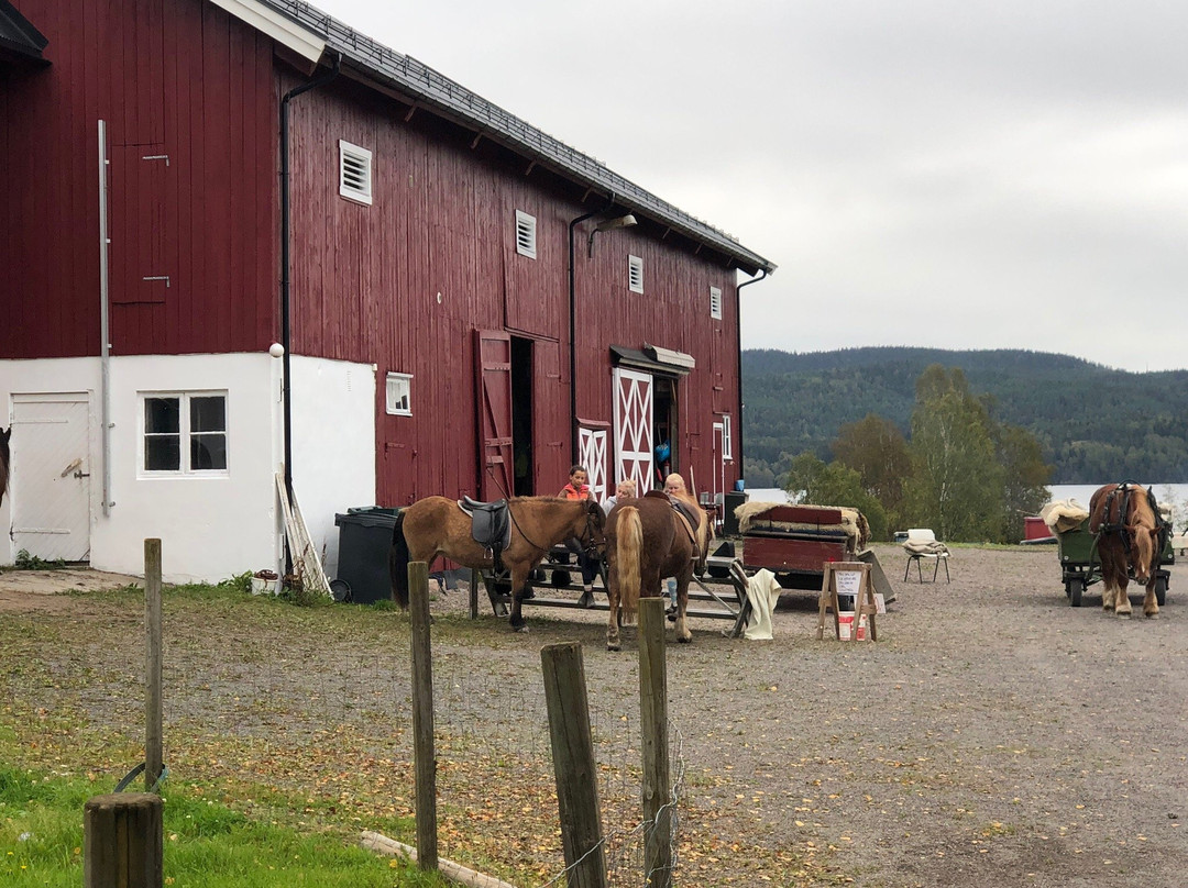 Skjerven Farm-奥斯陆必去景点