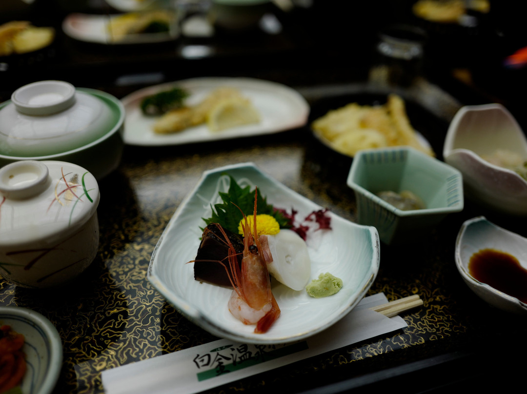 汤元白金温泉酒店主图