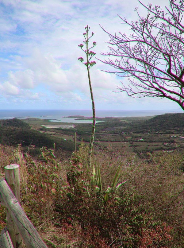 Piton de Crêve Cœur景点图片