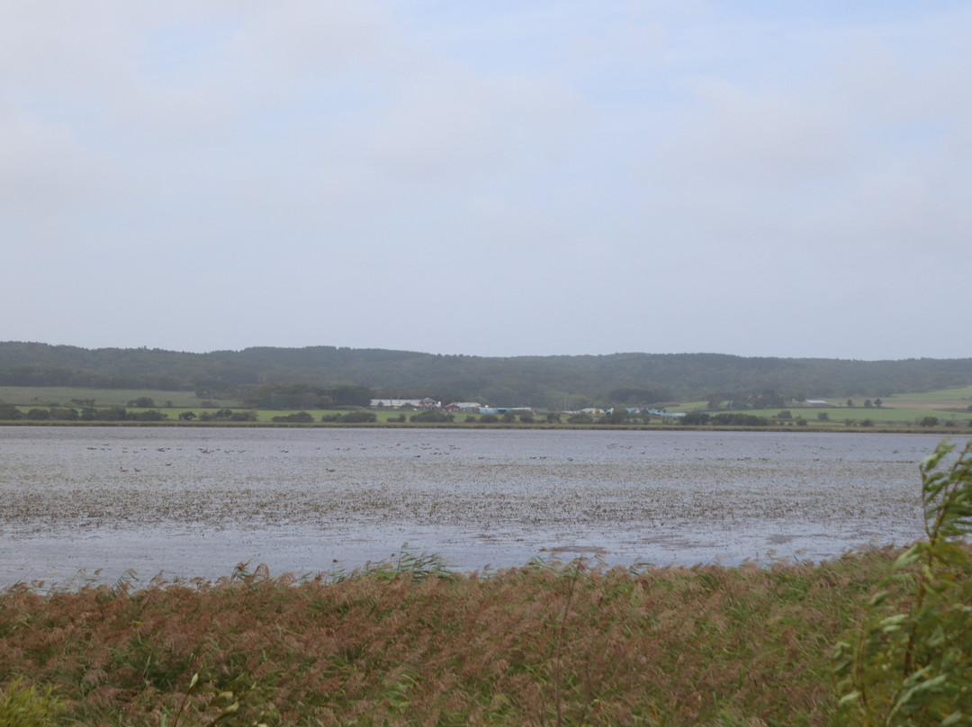Kabutonuma Park-丰富町必去景点