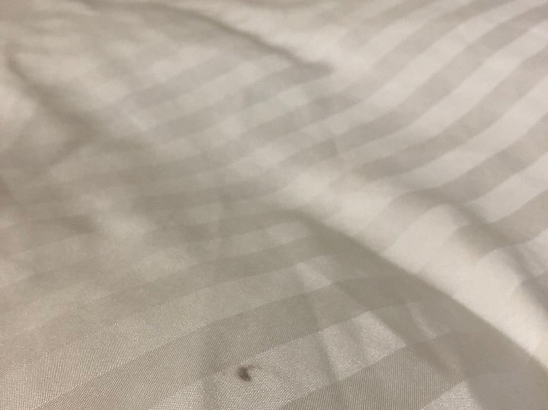 Super Hotel Takaoka Ekinan主图