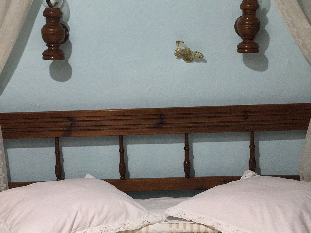 Diogenis Hotel主图