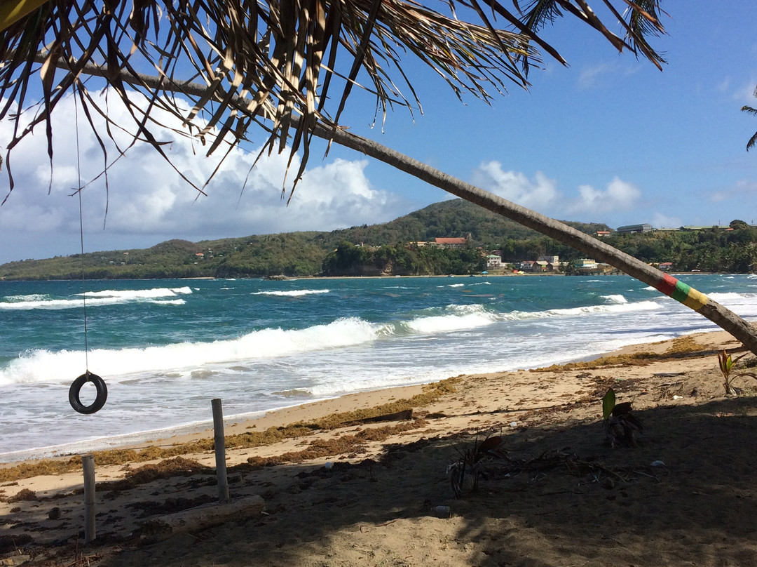 Treetops Villa Guest House主图