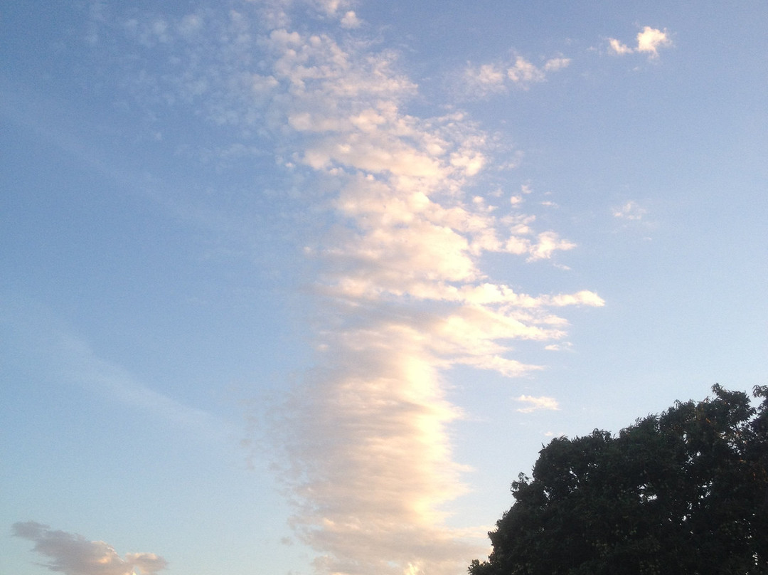 Malcolm Douglas Broome Crocodile Park-布鲁姆必去景点