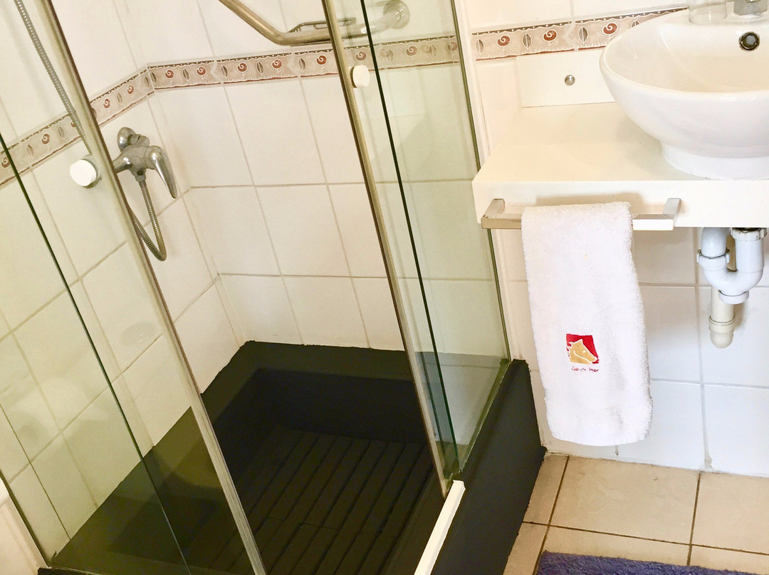 B & B Caballo Bayo主图