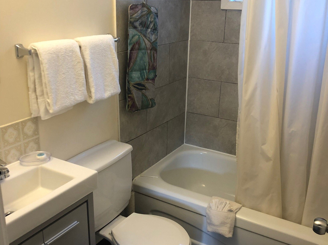 Evening Star Motel主图