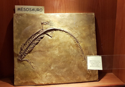 GeoLab Museo Laboratorio di Scienze della Terra-San Gemini必去景点